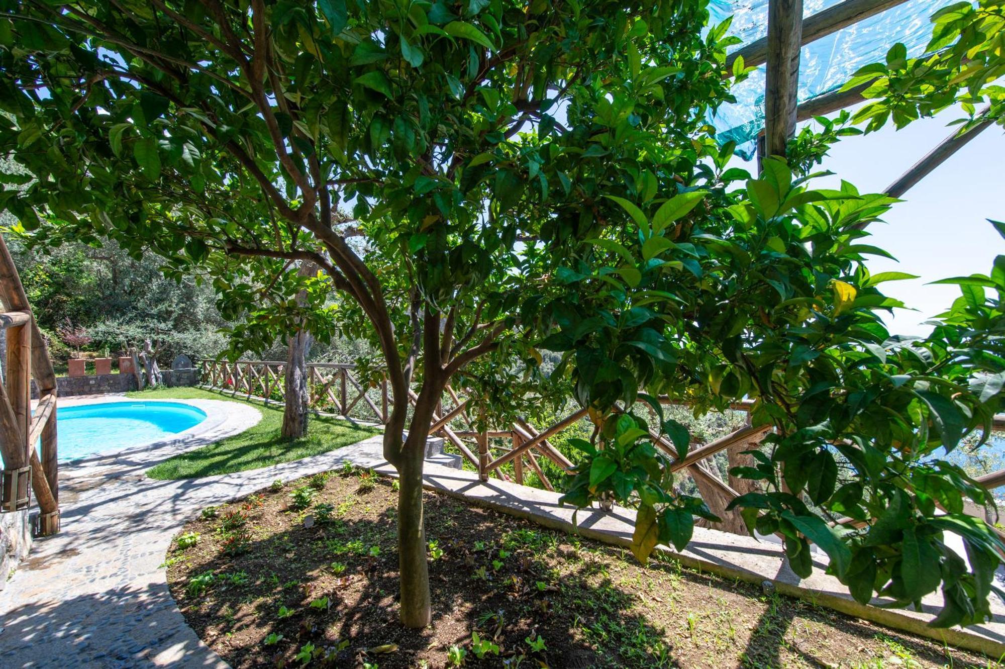 Le Contrade By Sosore Holiday Homes -Amalfi Coast Furore Bilik gambar
